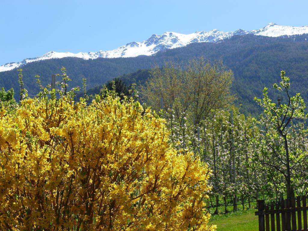 Guest house Gletscherblick